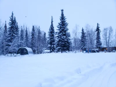 Coldfoot - Photo 4