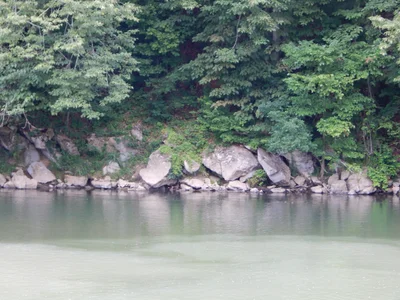 Limestone - Photo 4