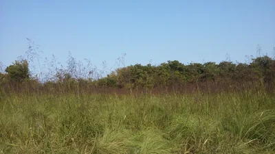 Tuttle - Photo 4