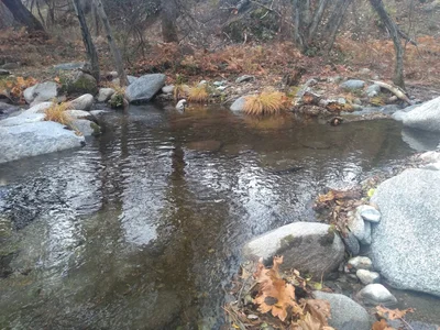 Whiskeytown - Photo 5