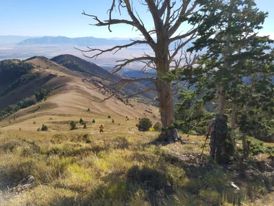 Grantsville - Photo 3