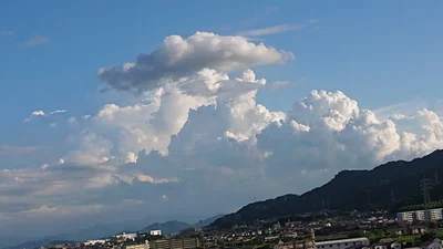 Kanda - Photo 4
