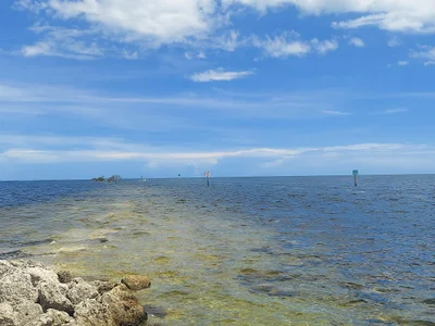 Biscayne National Park - Photo 2