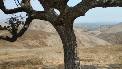 Lost Hills - Photo 3