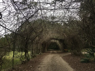 Avery Island - Photo 2