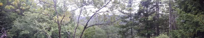 Eagle Bay - Photo 2