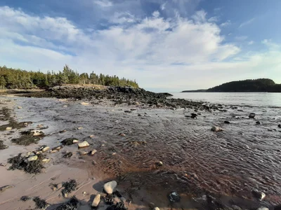 Chance Harbour - Photo 3