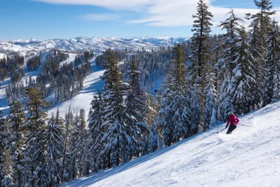 Bear Valley - Photo 2