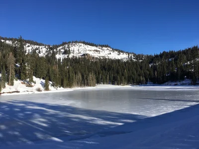 Bear Valley - Photo 3