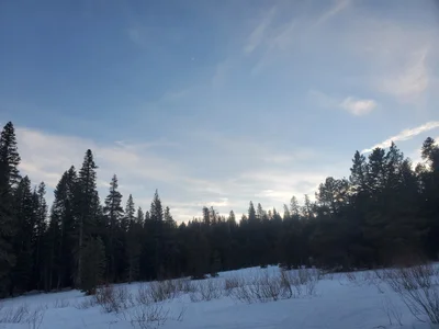 Bear Valley - Photo 4