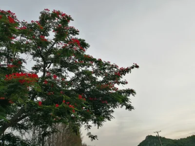 Takhli - Photo 2