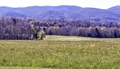 Shady Valley - Photo 3