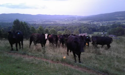 Shady Valley - Photo 4