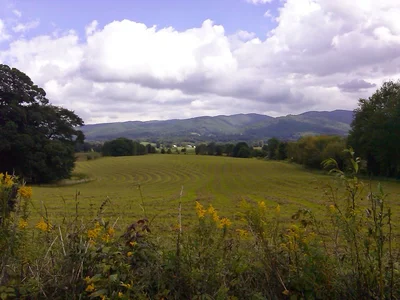 Shady Valley - Photo 5