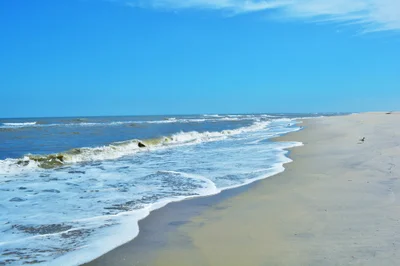 Assateague Island - Photo 4
