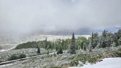 Monroe - Photo 4