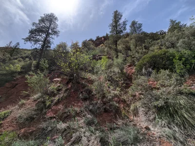 Arizona Route 89A - Photo 2
