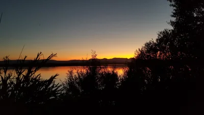 Walden - Photo 5