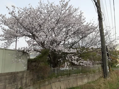 Miyawaka - Photo 2