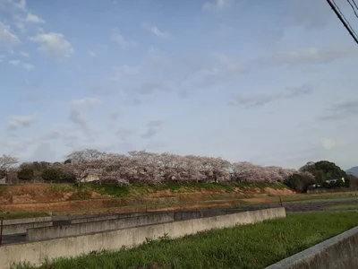 Miyawaka - Photo 3