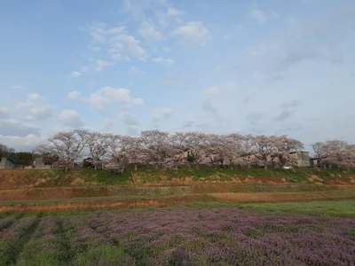 Miyawaka - Photo 4