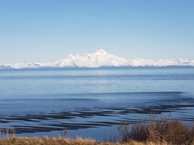 Anchor Point - Photo 4
