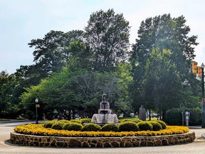 Aiken - Photo 2