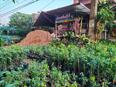 Prachin Buri - Photo 5