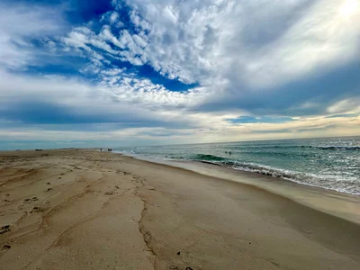 Assateague Island - Photo 3