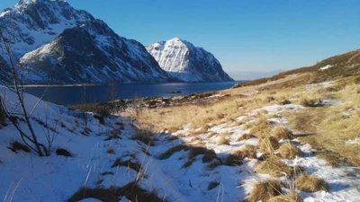 Vestvågøy - Photo 4