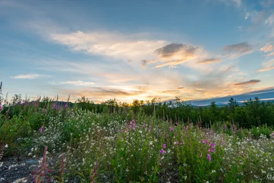 Kiruna - Photo 5