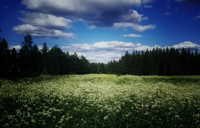 Kolari - Photo 3