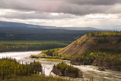 Yukon Crossing - Photo 2