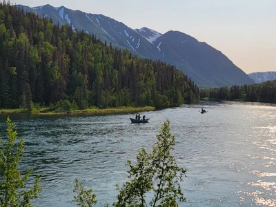 Kenai Peninsula Borough - Photo 4