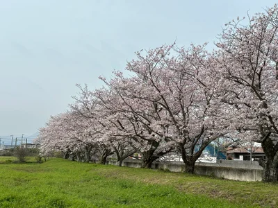Buzen - Photo 3
