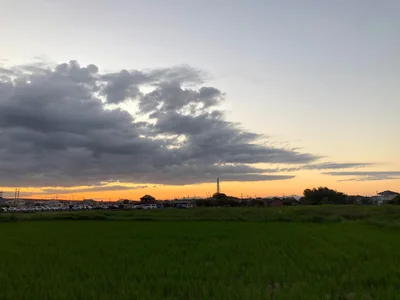 Buzen - Photo 5