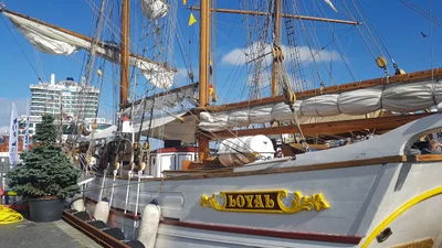 Stavanger - Photo 5