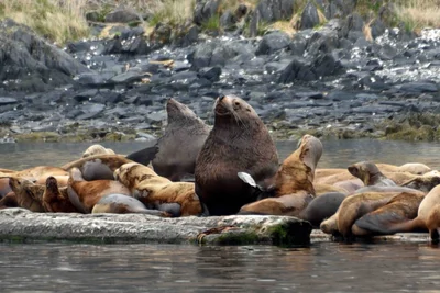 Kodiak Island Borough - Photo 2