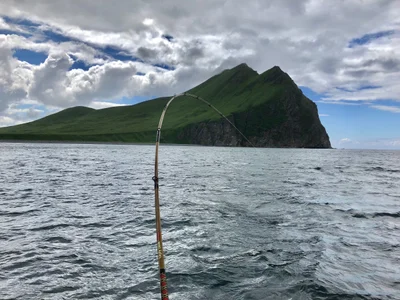Kodiak Island Borough - Photo 5