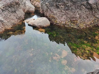 Gairloch - Photo 2