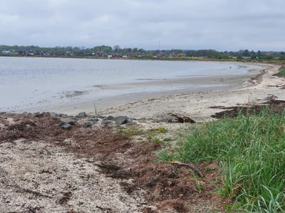 Frederikshavn Kommune - Photo 2