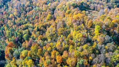 Sigulda - Photo 5