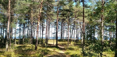 Jūrmala - Photo 3