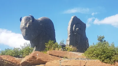 Wood Buffalo - Photo 4