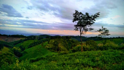 Lom Kao - Photo 4