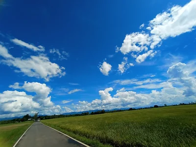 Lom Kao - Photo 5