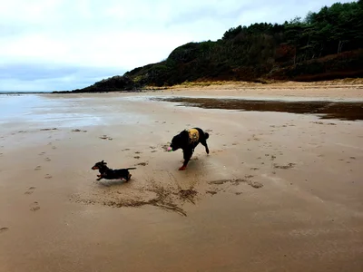 North Ayrshire - Photo 3