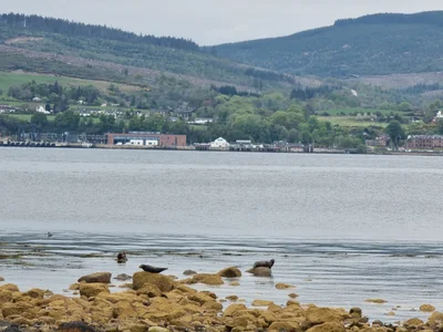 North Ayrshire - Photo 5