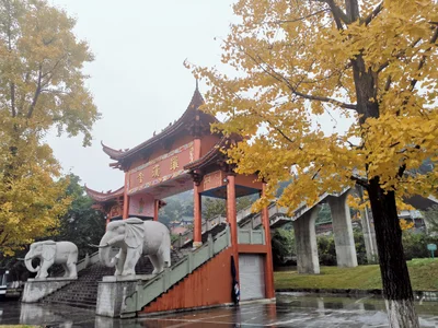 Mianyang - Photo 5
