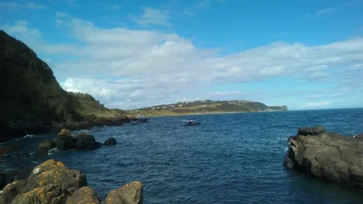 Whitehead - Photo 2